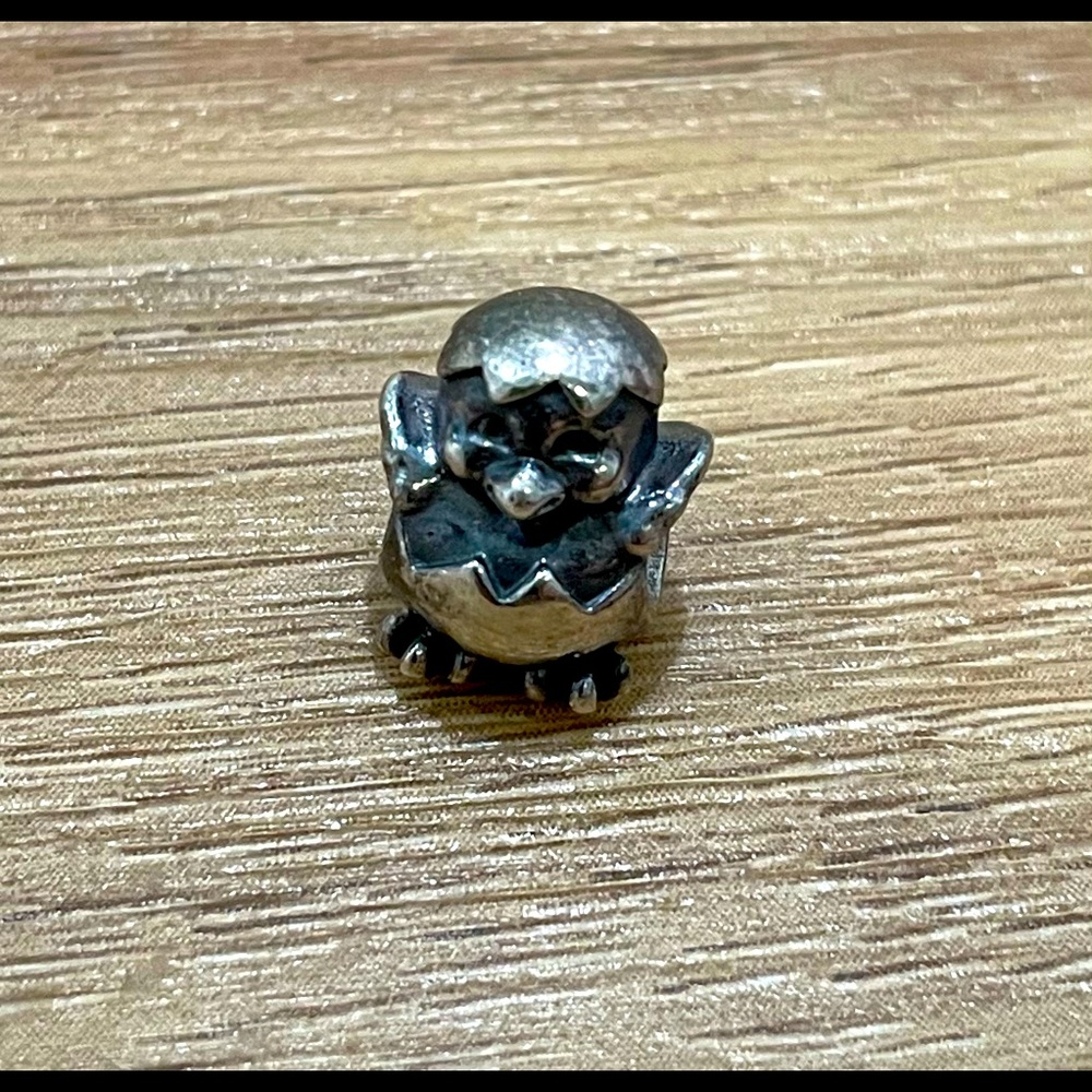 Retired Pandora Charm